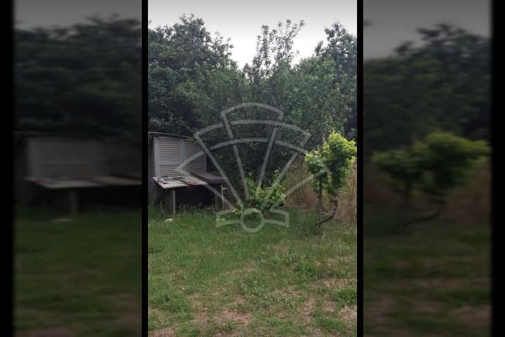 Oranica, Prodaja, Ližnjan, Šišan Oranica, Prodaja, Ližnjan, Šišan