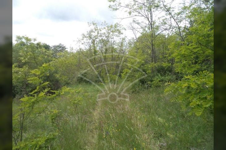 Poljoprivredno zemljište, Prodaja, Pazin - Okolica, Trviž Poljoprivredno zemljište, Prodaja, Pazin - Okolica, Trviž