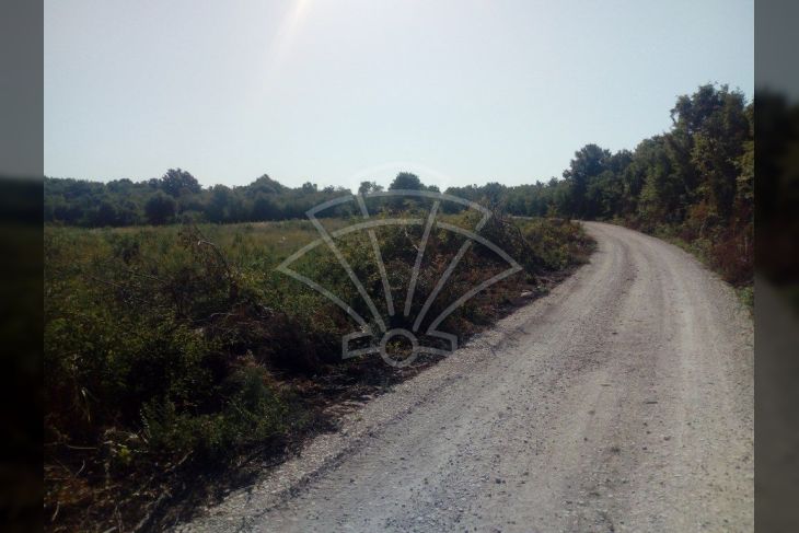 Poljoprivredno zemljište, Prodaja, Marčana, Loborika Poljoprivredno zemljište, Prodaja, Marčana, Loborika