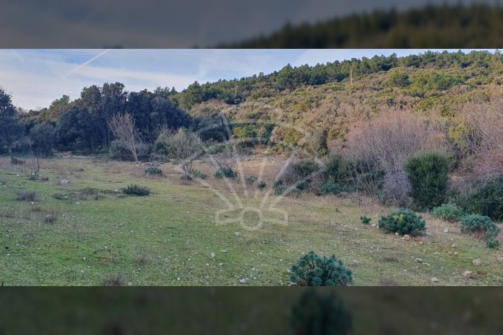 Građevinsko zemljište, Prodaja, Cres, Martinšćica Građevinsko zemljište, Prodaja, Cres, Martinšćica