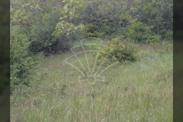 Poljoprivredno zemljište, Prodaja, Pazin - Okolica, Trviž Poljoprivredno zemljište, Prodaja, Pazin - Okolica, Trviž