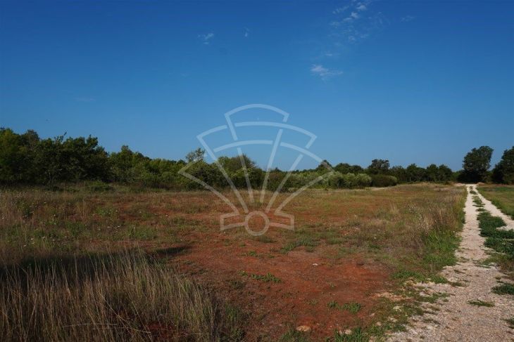Poljoprivredno zemljište, Prodaja, Ližnjan, Šišan Poljoprivredno zemljište, Prodaja, Ližnjan, Šišan
