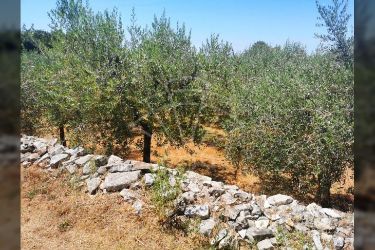 Samostojeća kuća, Prodaja, Vodnjan, Peroj Samostojeća kuća, Prodaja, Vodnjan, Peroj