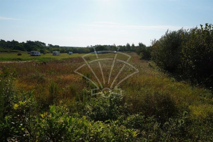 Poljoprivredno zemljište, Prodaja, Ližnjan, Šišan Poljoprivredno zemljište, Prodaja, Ližnjan, Šišan