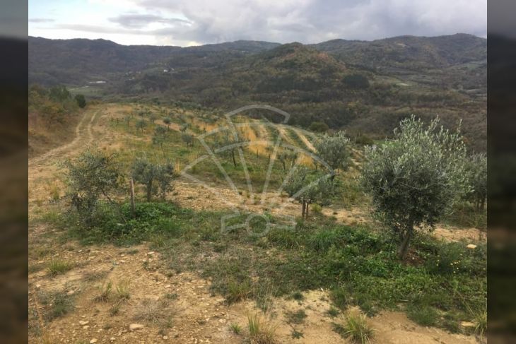 Poljoprivredno zemljište, Prodaja, Pazin - Okolica, Grdoselo Poljoprivredno zemljište, Prodaja, Pazin - Okolica, Grdoselo