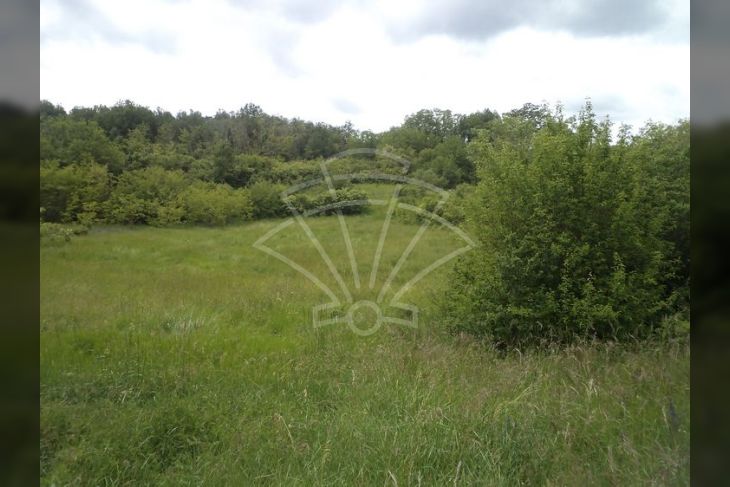 Poljoprivredno zemljište, Prodaja, Pazin - Okolica, Trviž Poljoprivredno zemljište, Prodaja, Pazin - Okolica, Trviž