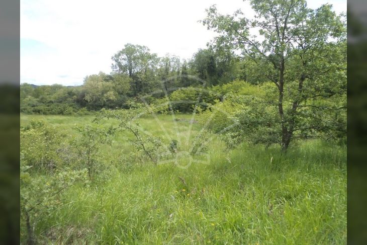 Poljoprivredno zemljište, Prodaja, Pazin - Okolica, Trviž Poljoprivredno zemljište, Prodaja, Pazin - Okolica, Trviž
