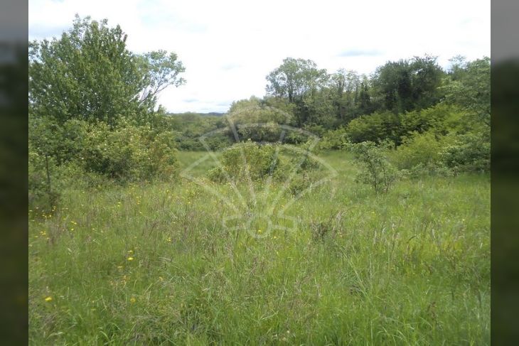 Poljoprivredno zemljište, Prodaja, Pazin - Okolica, Trviž Poljoprivredno zemljište, Prodaja, Pazin - Okolica, Trviž