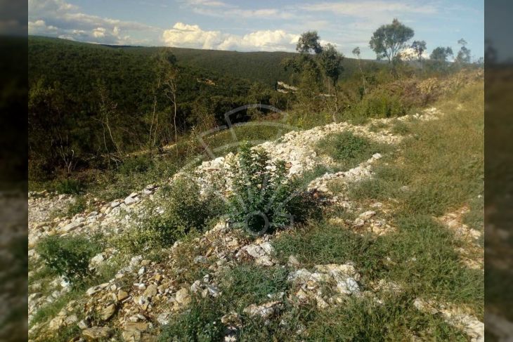 Poljoprivredno zemljište, Prodaja, Marčana, Peruški Poljoprivredno zemljište, Prodaja, Marčana, Peruški