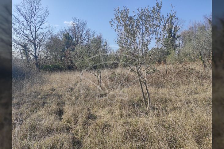 Otok, Prodaja, Marčana, Krnica Otok, Prodaja, Marčana, Krnica