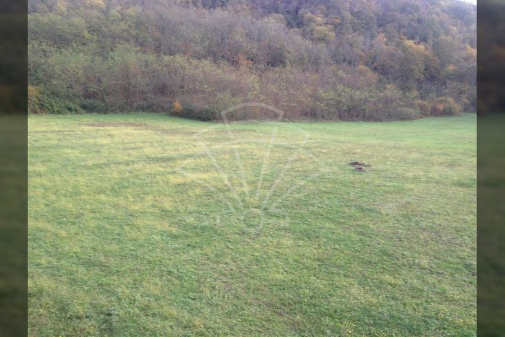 Poljoprivredno zemljište, Prodaja, Kanfanar, Kanfanar Poljoprivredno zemljište, Prodaja, Kanfanar, Kanfanar