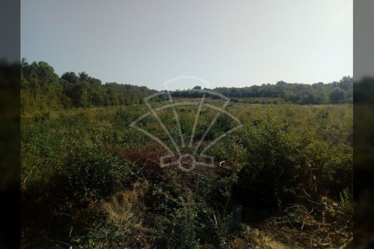 Poljoprivredno zemljište, Prodaja, Marčana, Loborika Poljoprivredno zemljište, Prodaja, Marčana, Loborika