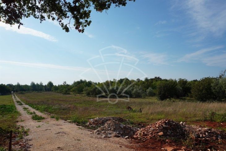 Poljoprivredno zemljište, Prodaja, Ližnjan, Šišan Poljoprivredno zemljište, Prodaja, Ližnjan, Šišan