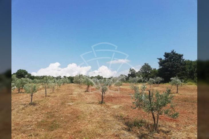 Zemljište - ostalo, Prodaja, Rovinj, Rovinjsko Selo Zemljište - ostalo, Prodaja, Rovinj, Rovinjsko Selo