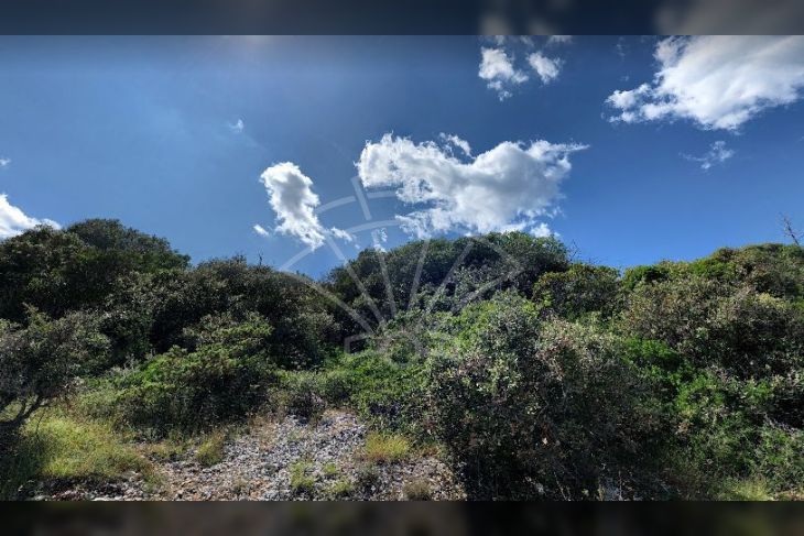 Poljoprivredno zemljište, Prodaja, Marčana, Kavran Poljoprivredno zemljište, Prodaja, Marčana, Kavran