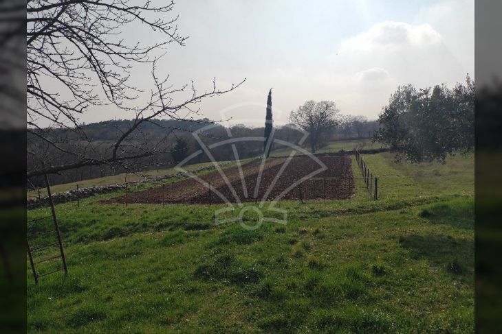 Građevinsko zemljište, Prodaja, Barban, Puntera Građevinsko zemljište, Prodaja, Barban, Puntera