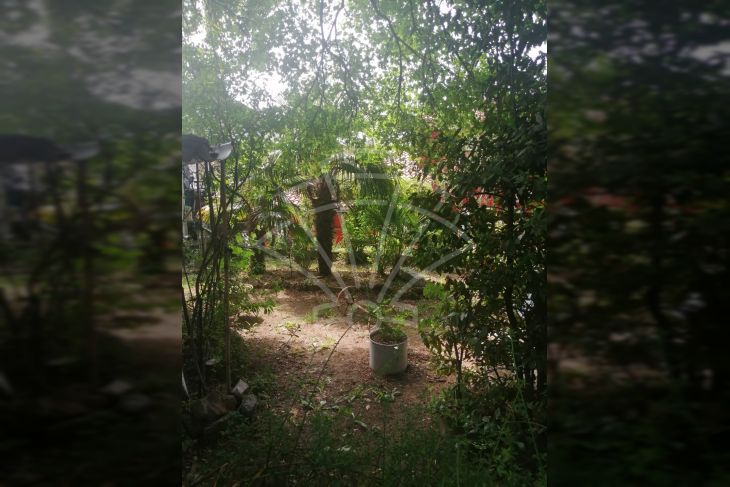Samostojeća kuća, Prodaja, Matulji, Jurdani Samostojeća kuća, Prodaja, Matulji, Jurdani