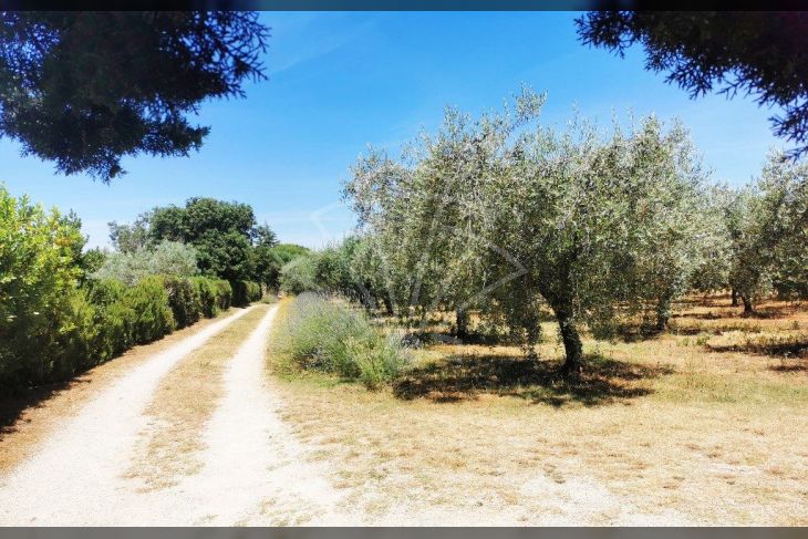 Samostojeća kuća, Prodaja, Vodnjan, Peroj Samostojeća kuća, Prodaja, Vodnjan, Peroj