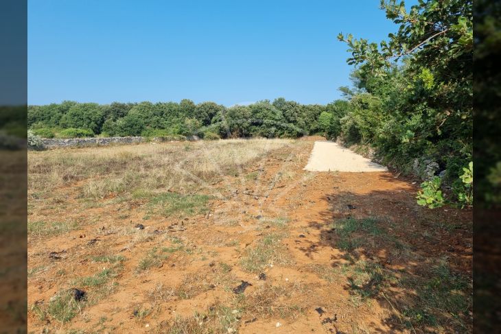 Poljoprivredno zemljište, Prodaja, Ližnjan, Ližnjan Poljoprivredno zemljište, Prodaja, Ližnjan, Ližnjan