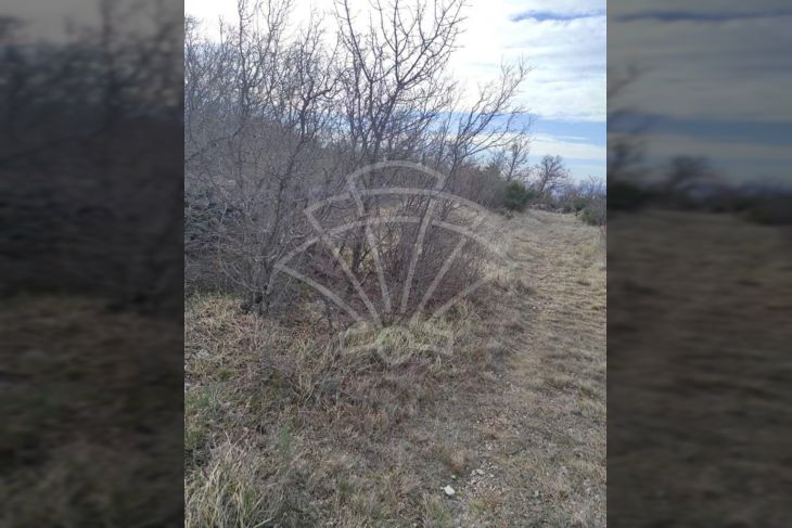 Poljoprivredno zemljište, Prodaja, Kraljevica, Šmrika Poljoprivredno zemljište, Prodaja, Kraljevica, Šmrika