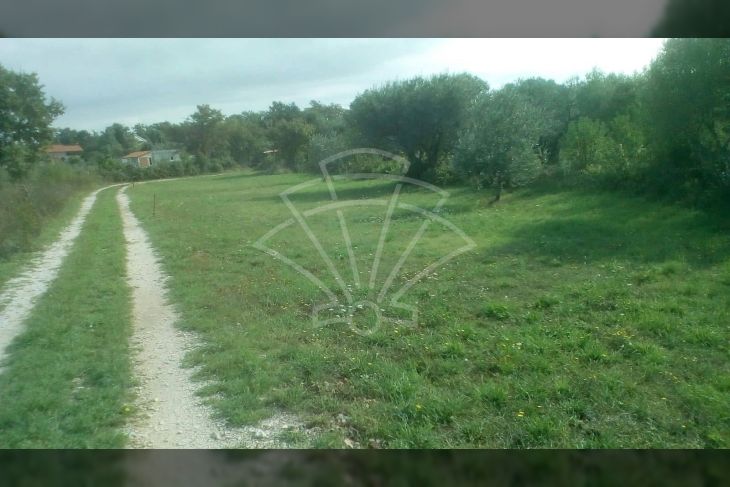 Poljoprivredno zemljište, Prodaja, Marčana, Pavićini Poljoprivredno zemljište, Prodaja, Marčana, Pavićini