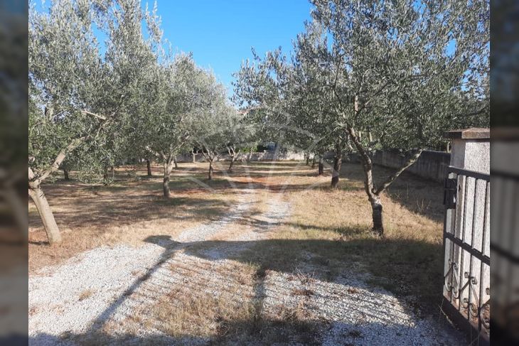 Građevinsko zemljište, Prodaja, Vodnjan, Barbariga Građevinsko zemljište, Prodaja, Vodnjan, Barbariga