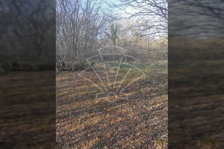 Poljoprivredno zemljište, Prodaja, Barban, Hrboki Poljoprivredno zemljište, Prodaja, Barban, Hrboki