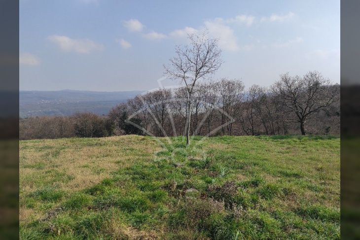 Građevinsko zemljište, Prodaja, Barban, Puntera Građevinsko zemljište, Prodaja, Barban, Puntera