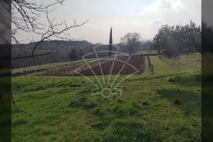 Građevinsko zemljište, Prodaja, Barban, Puntera Građevinsko zemljište, Prodaja, Barban, Puntera
