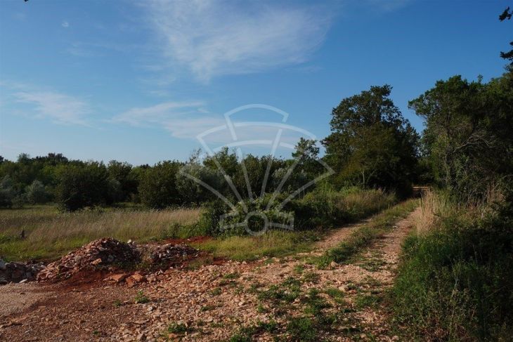 Poljoprivredno zemljište, Prodaja, Ližnjan, Šišan Poljoprivredno zemljište, Prodaja, Ližnjan, Šišan