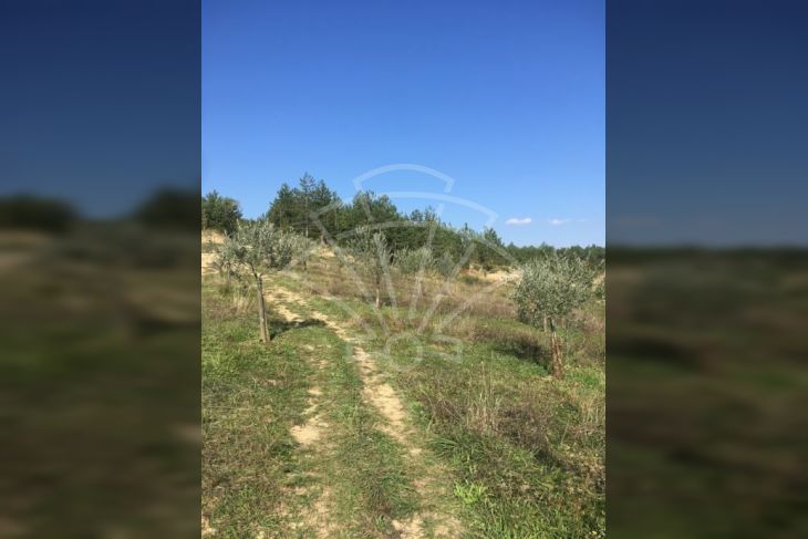 Poljoprivredno zemljište, Prodaja, Cerovlje, Previž Poljoprivredno zemljište, Prodaja, Cerovlje, Previž