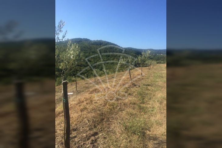 Poljoprivredno zemljište, Prodaja, Pazin - Okolica, Grdoselo Poljoprivredno zemljište, Prodaja, Pazin - Okolica, Grdoselo