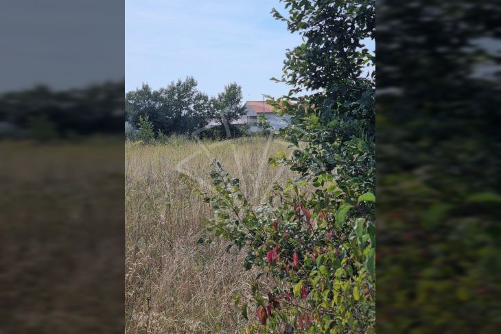 Građevinsko zemljište, Prodaja, Vodnjan, Vodnjan Građevinsko zemljište, Prodaja, Vodnjan, Vodnjan
