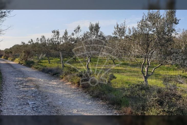 Poljoprivredno zemljište, Prodaja, Vodnjan, Barbariga Poljoprivredno zemljište, Prodaja, Vodnjan, Barbariga