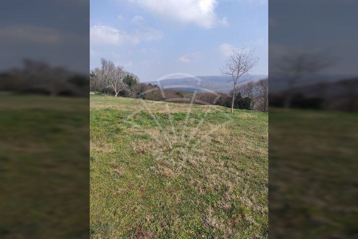 Građevinsko zemljište, Prodaja, Barban, Puntera Građevinsko zemljište, Prodaja, Barban, Puntera