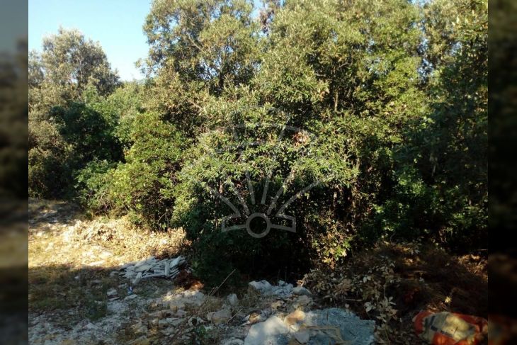 Poljoprivredno zemljište, Prodaja, Marčana, Peruški Poljoprivredno zemljište, Prodaja, Marčana, Peruški