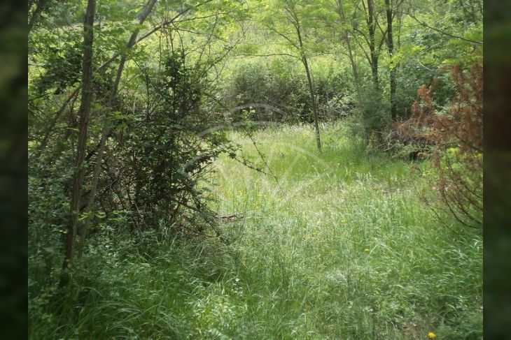 Poljoprivredno zemljište, Prodaja, Pazin - Okolica, Trviž Poljoprivredno zemljište, Prodaja, Pazin - Okolica, Trviž