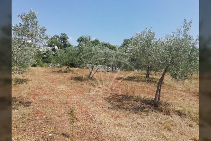 Zemljište - ostalo, Prodaja, Rovinj, Rovinjsko Selo Zemljište - ostalo, Prodaja, Rovinj, Rovinjsko Selo