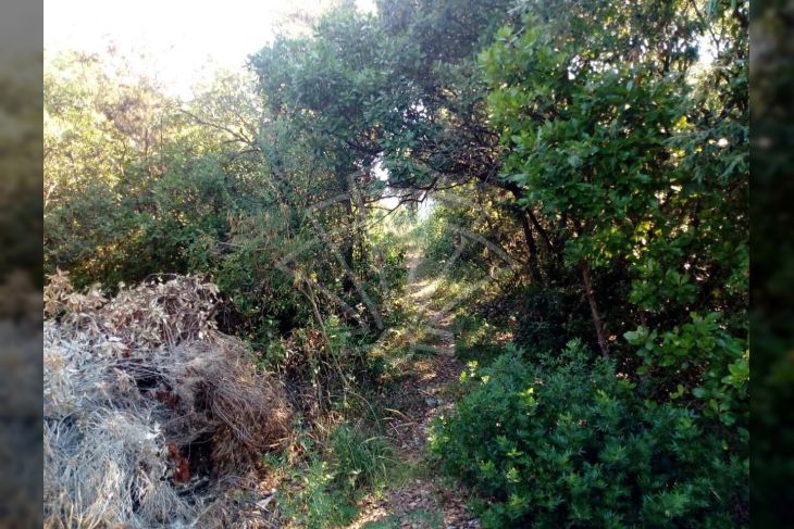 Poljoprivredno zemljište, Prodaja, Marčana, Peruški Poljoprivredno zemljište, Prodaja, Marčana, Peruški