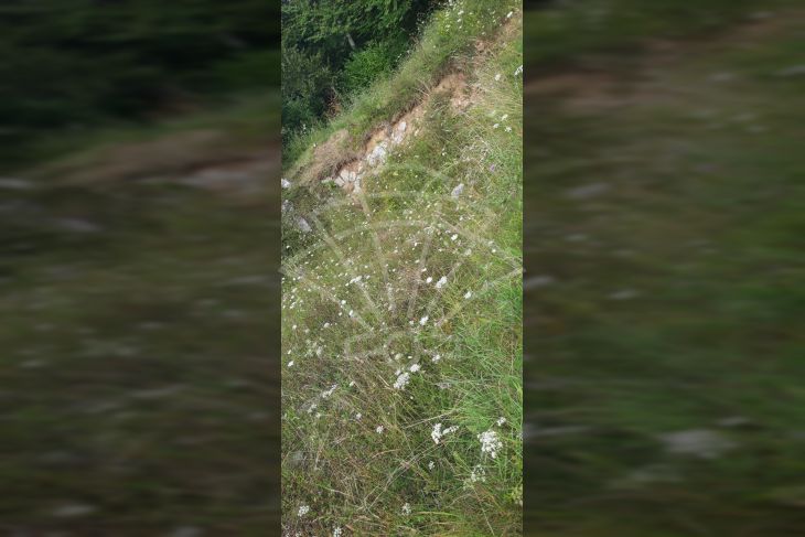 Zemljište - ostalo, Prodaja, Mrkopalj, Tuk Mrkopaljski Zemljište - ostalo, Prodaja, Mrkopalj, Tuk Mrkopaljski