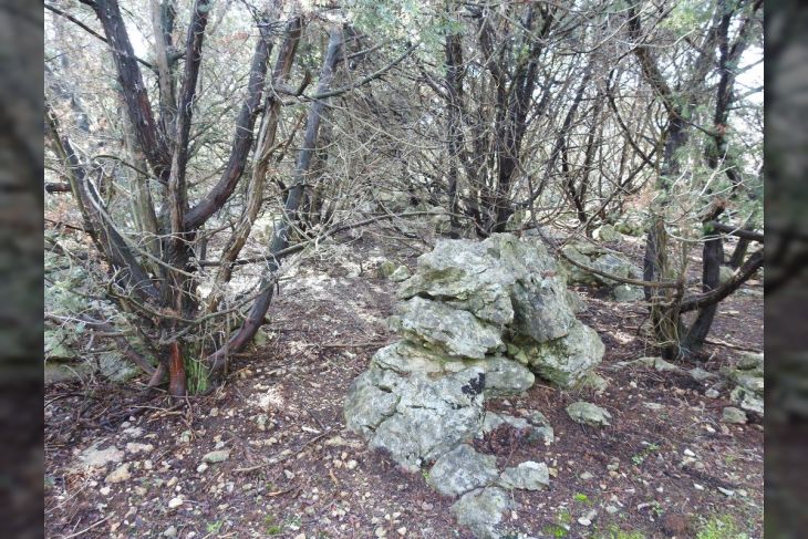 Poljoprivredno zemljište, Prodaja, Krk, Krk Poljoprivredno zemljište, Prodaja, Krk, Krk