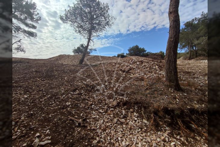 Oranica, Prodaja, Mali Lošinj, Ćunski Oranica, Prodaja, Mali Lošinj, Ćunski