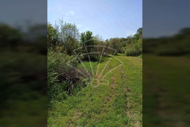 Građevinsko zemljište, Prodaja, Marčana, Pavićini Građevinsko zemljište, Prodaja, Marčana, Pavićini
