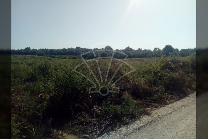 Poljoprivredno zemljište, Prodaja, Marčana, Loborika Poljoprivredno zemljište, Prodaja, Marčana, Loborika