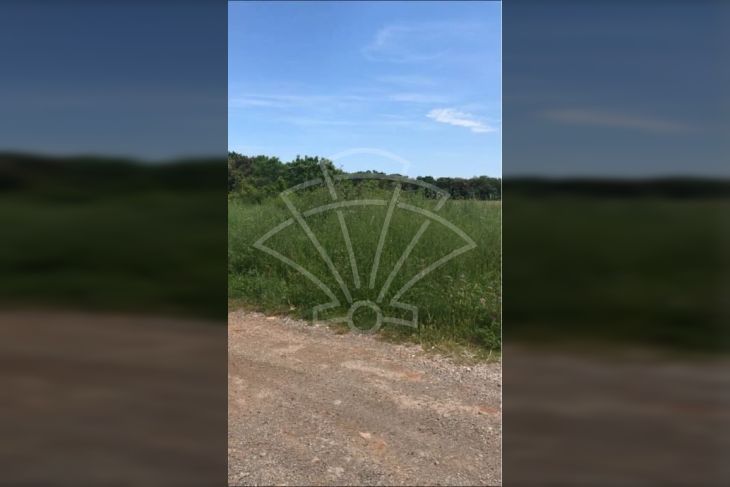 Poljoprivredno zemljište, Prodaja, Ližnjan, Šišan Poljoprivredno zemljište, Prodaja, Ližnjan, Šišan