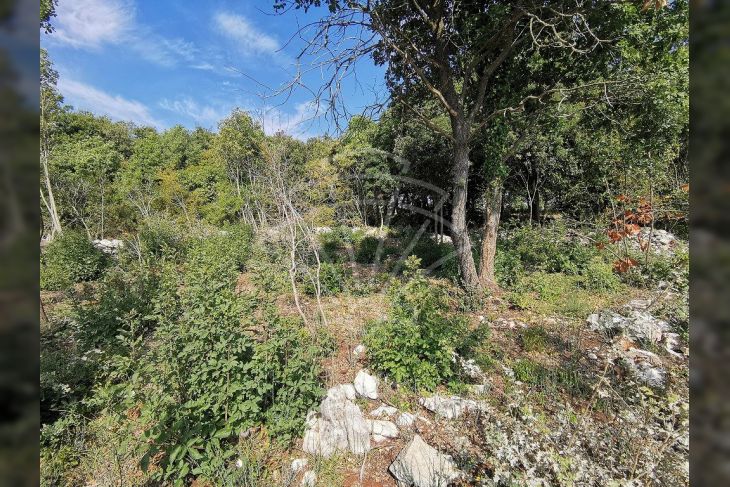 Poljoprivredno zemljište, Prodaja, Marčana, Peruški Poljoprivredno zemljište, Prodaja, Marčana, Peruški