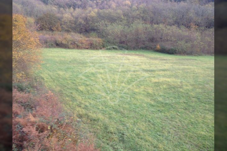 Poljoprivredno zemljište, Prodaja, Kanfanar, Kanfanar Poljoprivredno zemljište, Prodaja, Kanfanar, Kanfanar