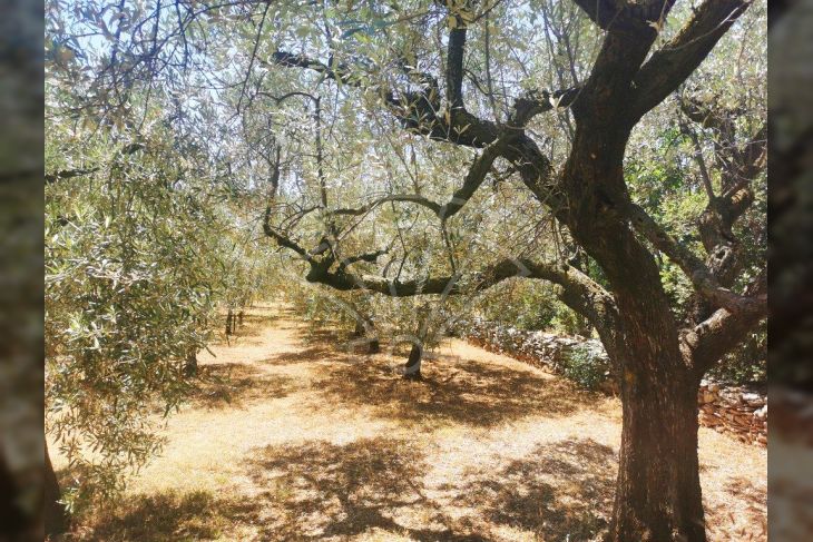 Samostojeća kuća, Prodaja, Vodnjan, Peroj Samostojeća kuća, Prodaja, Vodnjan, Peroj