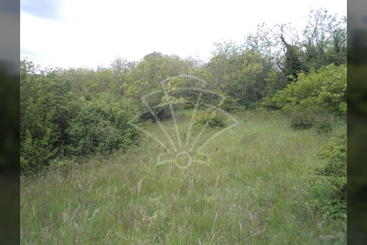 Poljoprivredno zemljište, Prodaja, Pazin - Okolica, Trviž Poljoprivredno zemljište, Prodaja, Pazin - Okolica, Trviž