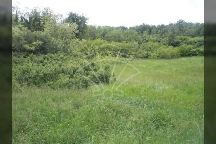 Poljoprivredno zemljište, Prodaja, Pazin - Okolica, Trviž Poljoprivredno zemljište, Prodaja, Pazin - Okolica, Trviž